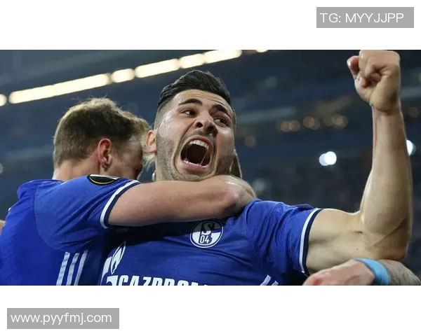 沙尔克04官宣新援加盟，助力球队冲击新赛季巅峰