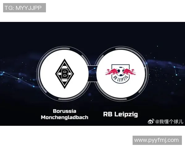 门兴格拉德巴赫队长誓言欧冠全力以赴